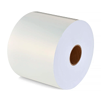 Inkjet DPINF01 Matte White PP Sticker 100mic матовая полипропиленовая пленка