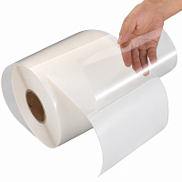 50mic Laserjet Clear PP Label  DPLA009 прозрачная полипропиленовая пленка